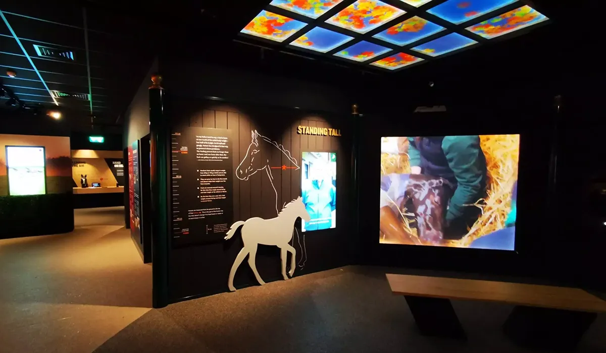 Irish racehorse experience center project detail by Hypsos