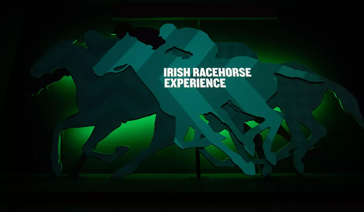 Graphic wall at Irish racehorse experience center, realised by Hypsos