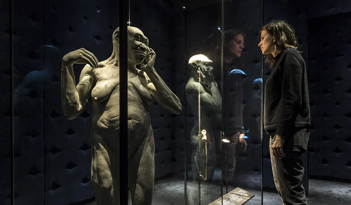 Close-up of the Hypsos museum installation for Naturalis Biodiversity Center